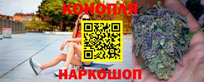 мяу мяу мука Малгобек