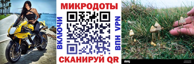 Псилоцибиновые грибы Magic Shrooms  Урус-Мартан 