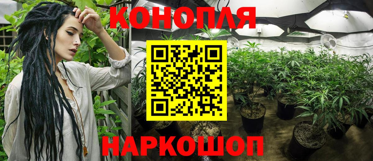 Урус-Мартан  Бошки Шишки индика  Вход с VPN  Бошки марихуана White Widow 